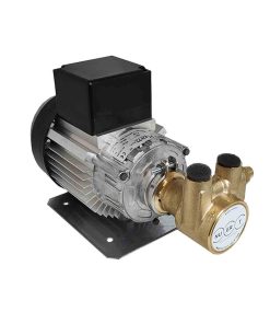 Pompa a palette NUERT rotativa volumetrica 200 lt/h con motore 245W monofase